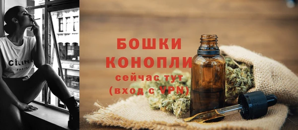 ешки Богданович