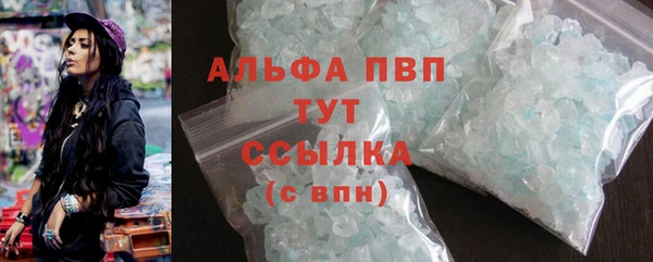 эйфоретик Сосновый Бор