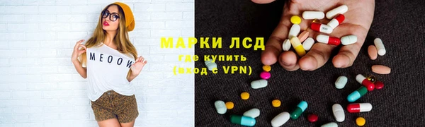 ешки Богданович