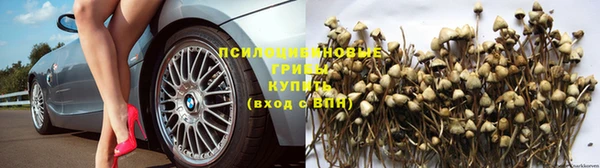 гашик Беломорск