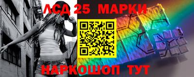 индика Бийск