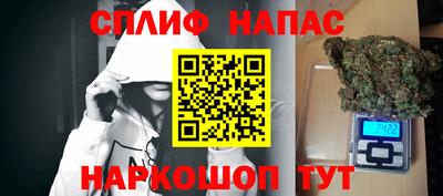 индика Бийск