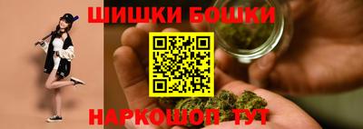 индика Бийск
