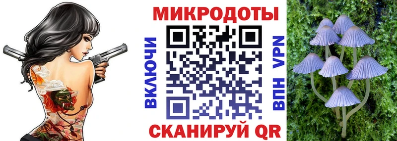 сколько стоит  Бузулук  Псилоцибиновые грибы мухоморы 
