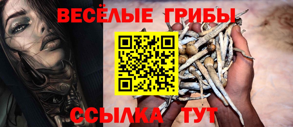 Галлюциногенные грибы MAGIC MUSHROOMS Бузулук