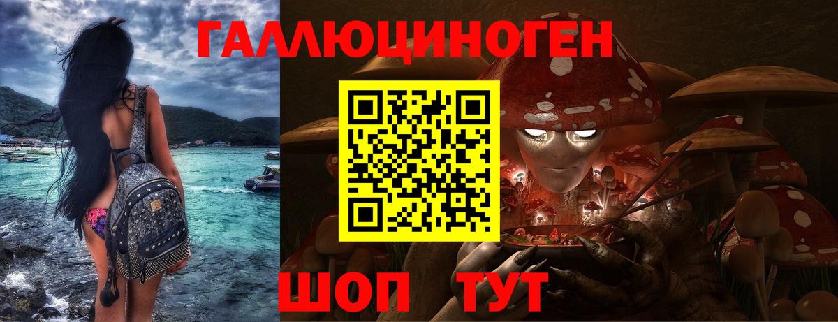 Галлюциногенные грибы Psilocybine cubensis  купить   Галлюциногенные грибы мухоморы  Бузулук 