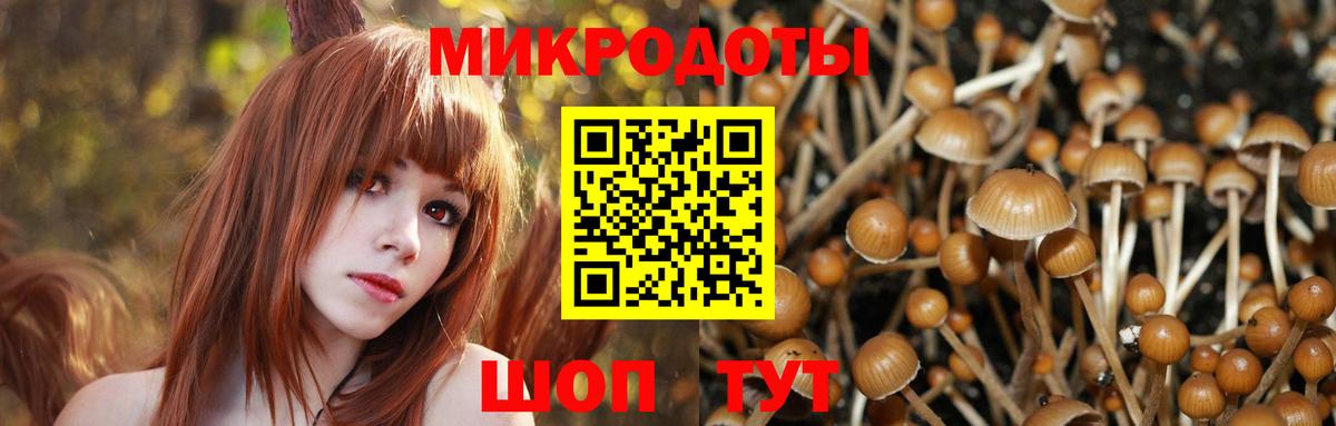 Бузулук  Галлюциногенные грибы мицелий  Вход с VPN  Галлюциногенные грибы Psilocybine cubensis 
